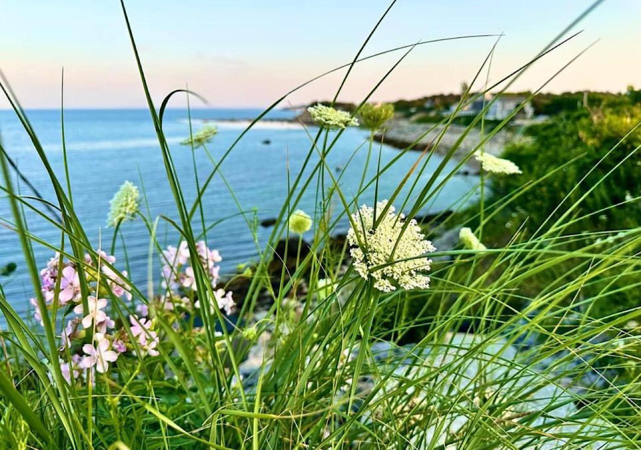 Wildflower Inn Plymouth Dış mekan fotoğraf