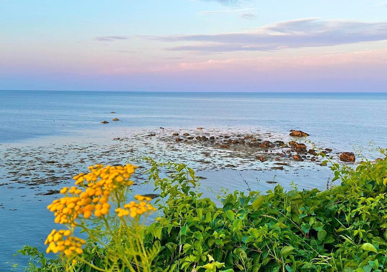 Wildflower Inn Plymouth Dış mekan fotoğraf