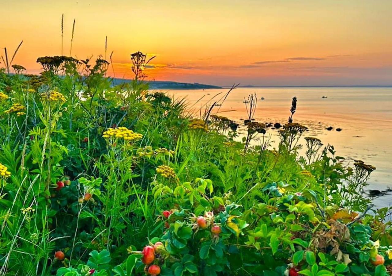 Wildflower Inn Plymouth Dış mekan fotoğraf